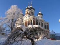 Tallinn Christmas Market