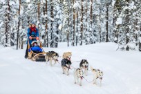 Christmas in Lapland 