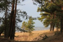 Jurmala Tour & Beach, 7 hrs - cruise ship tours