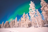 Christmas in Lapland 