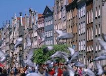 New Year in Poland / 5 days Tour package